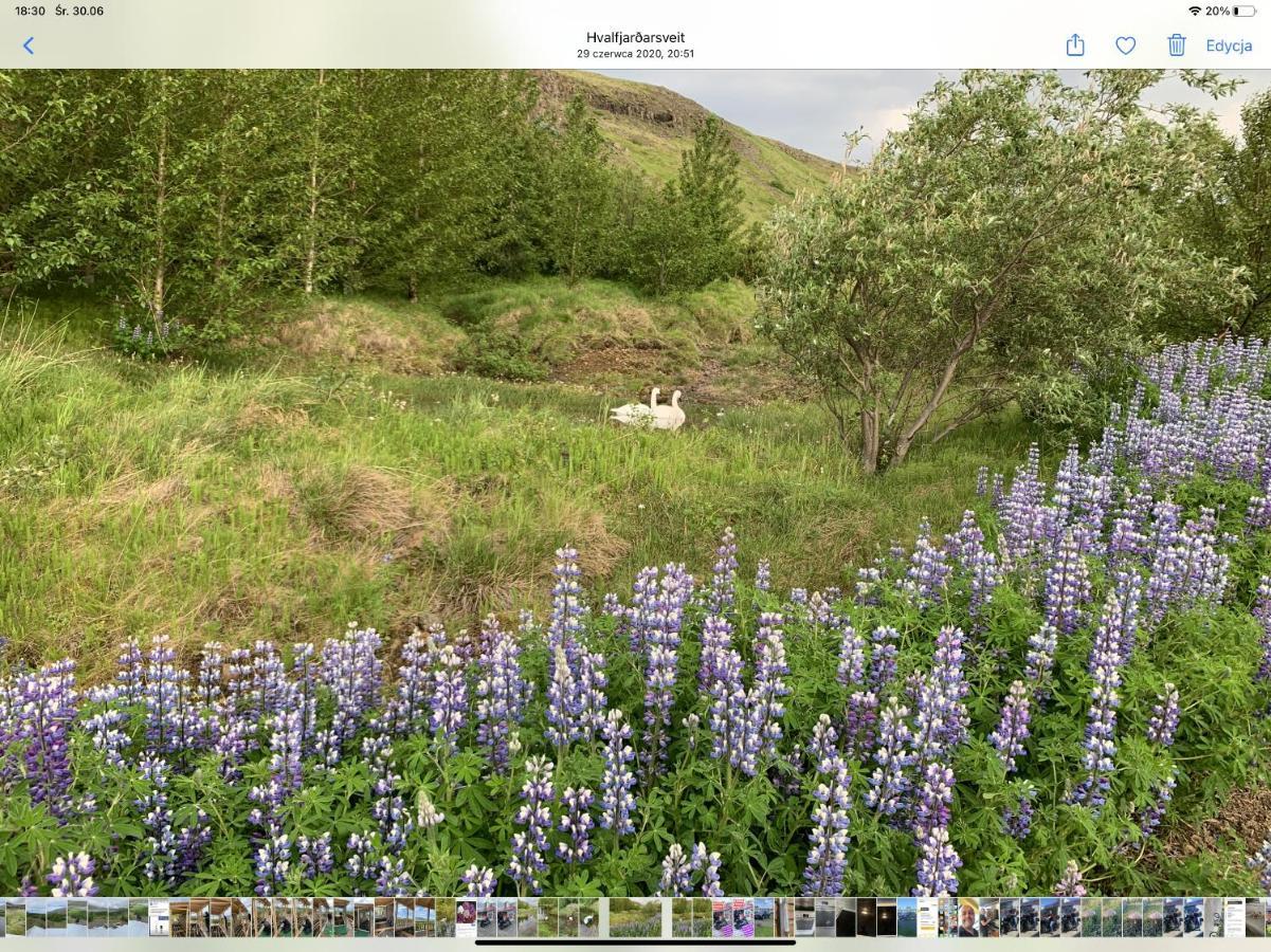 Icelandic Lake House Akranes Zewnętrze zdjęcie